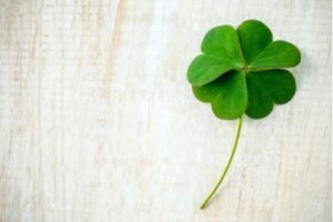 A photo of a four-leaf clover on a wood background.