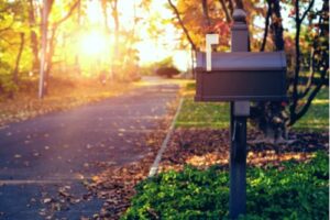 A photo showing a black mailbox surrounded by fall foliage at the end of a driveway.