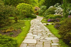 A photo showing a stone walking path through a garden.