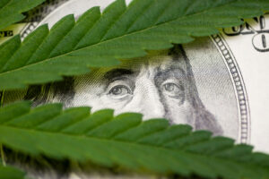 A hundred-dollar bill with a marijuana leaf