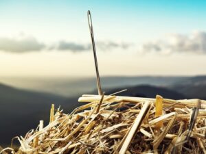 A needle in a haystack