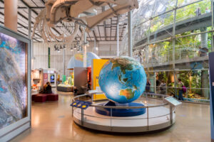 A photo of the interior of the California Academy of Sciences, a natural history museum located in San Francisco.