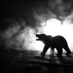 The black and white silhouette of a bear in a foggy, dark forest.