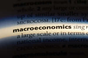 The entry for “macroeconomics” highlighted in a dictionary.