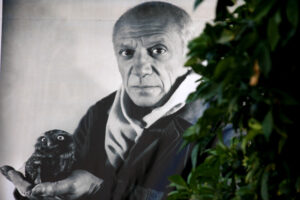 A black-and-white portrait of Pablo Picasso hung up behind a green tree.