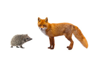 A hedgehog and fox standing next to each other.