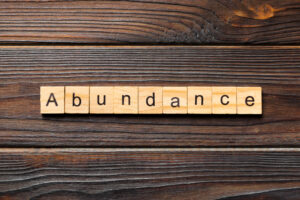 The word “abundance” written on wooden blocks.