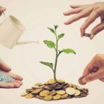 Several hands helping a small tree on top of a pile of money to grow.